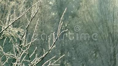 雪覆盖着灌木丛的树枝，雪花<strong>飘落</strong>